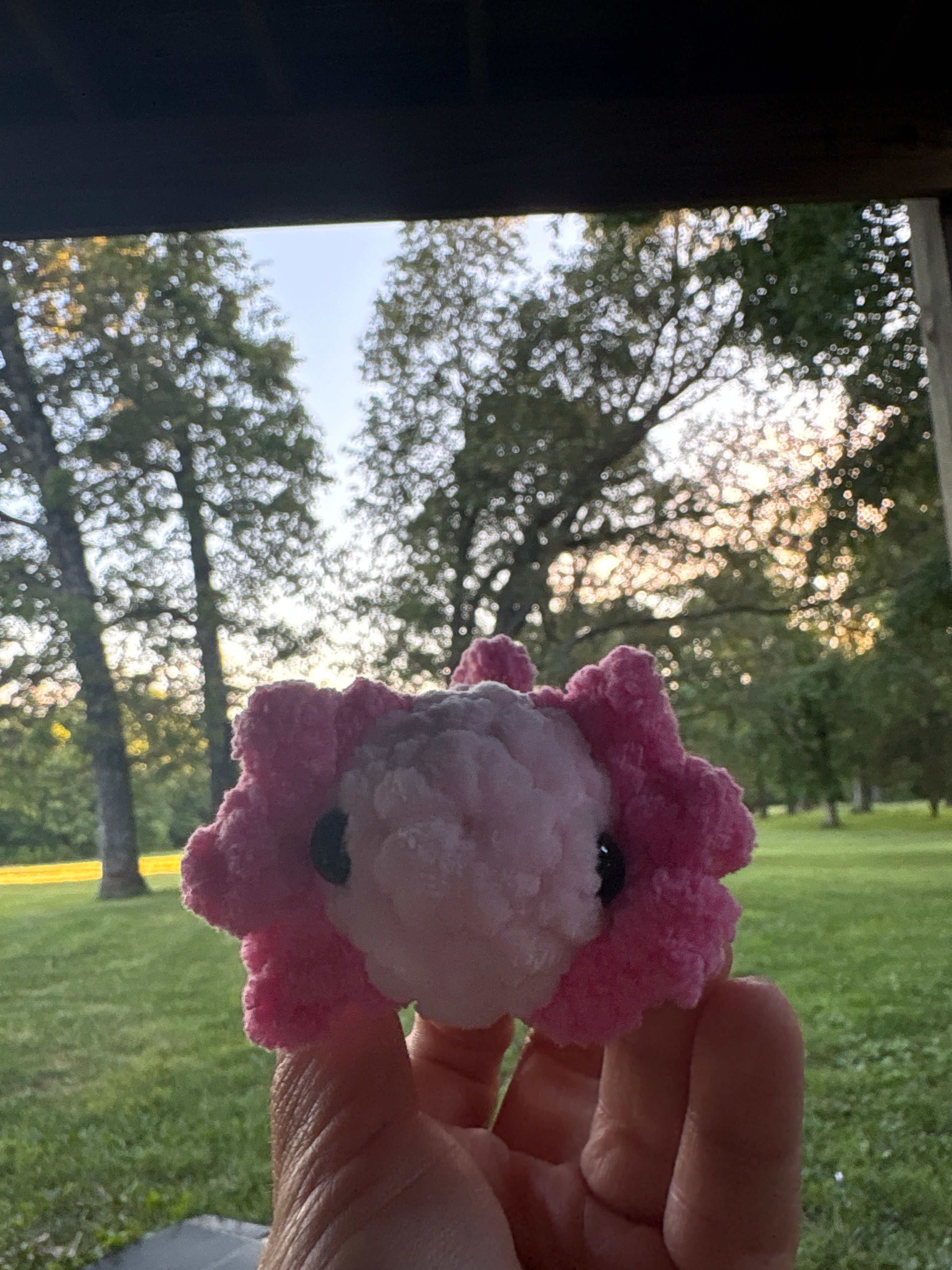 Mini Pink axolotl